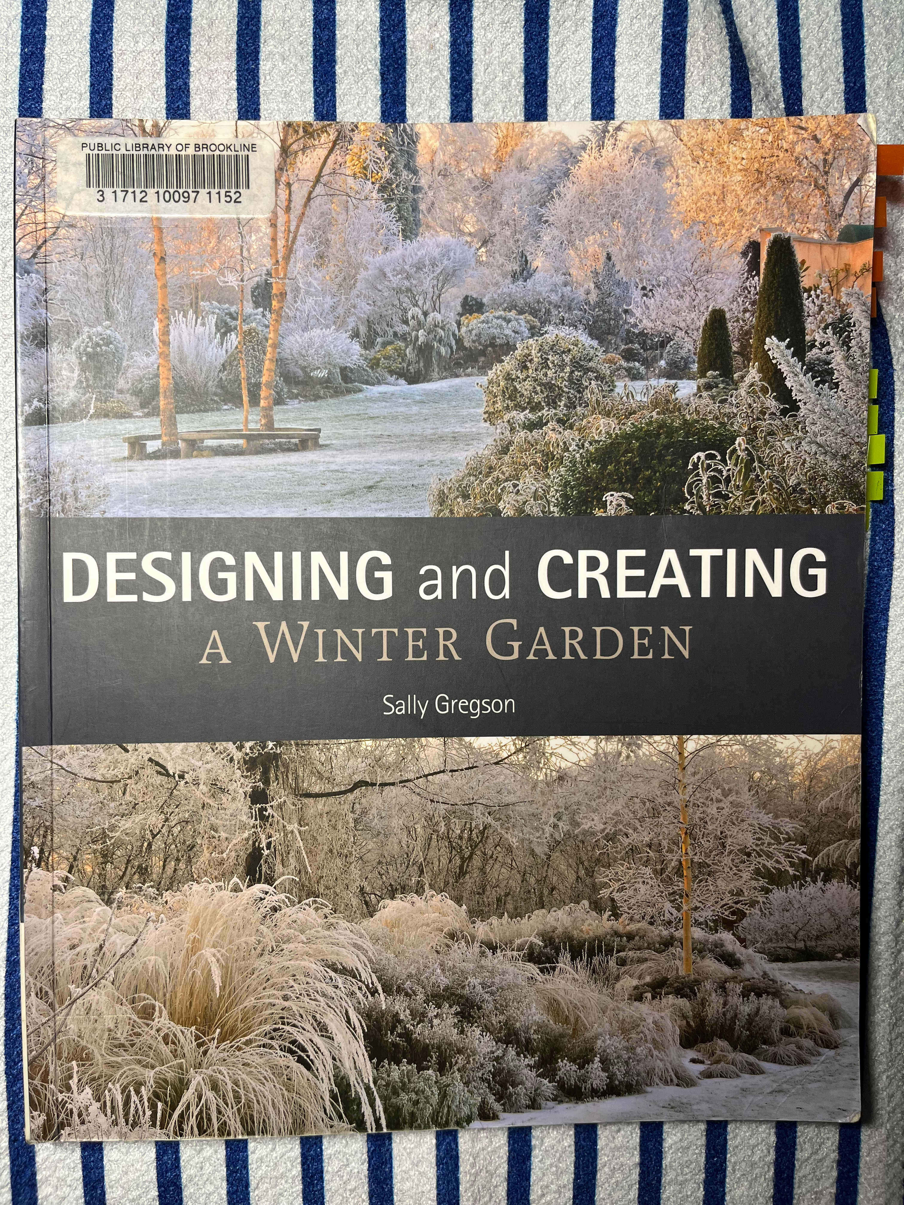 cover of the book Designing and Creating A Winter Garden